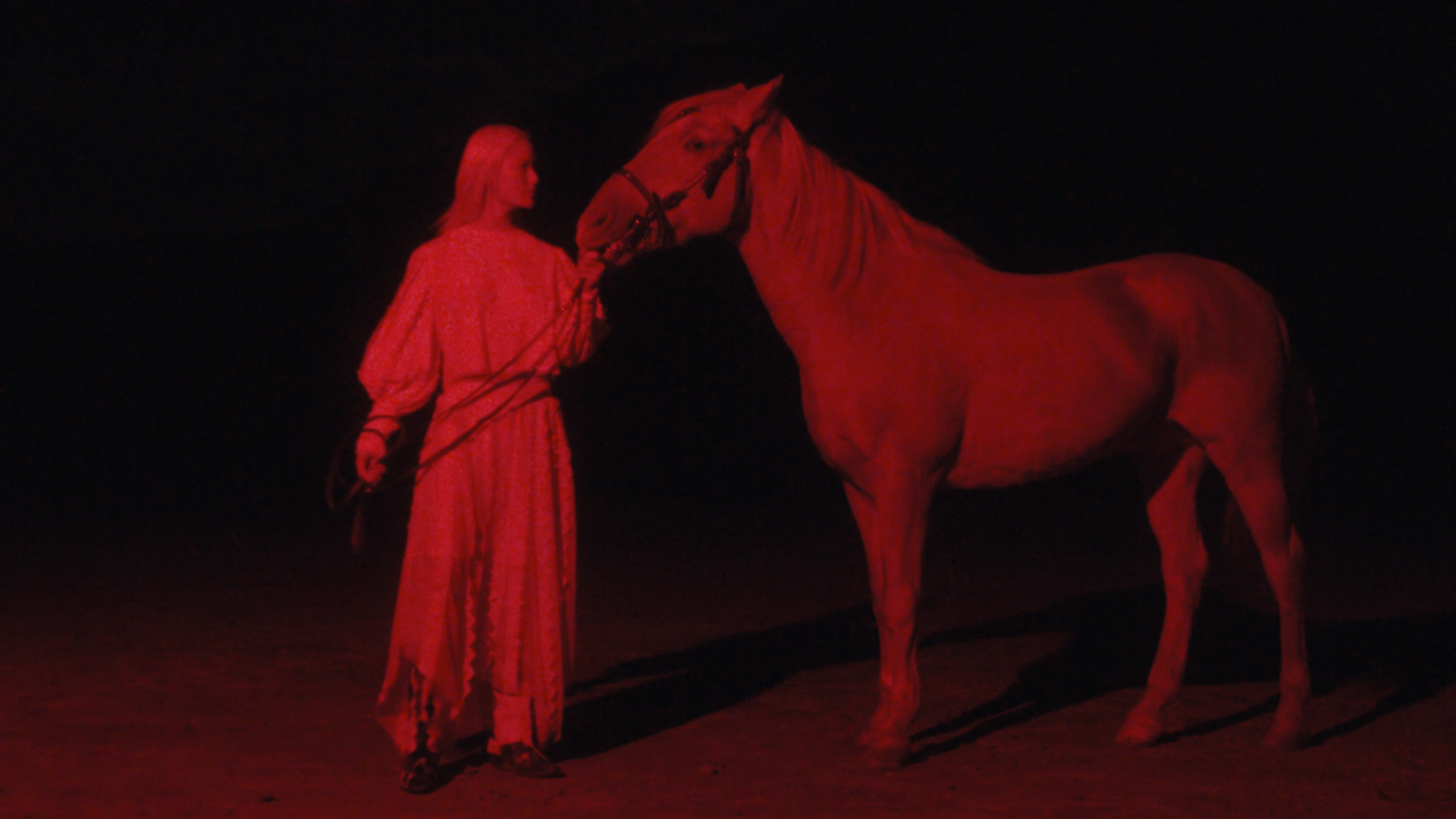 ALLSAINTS - Spring 26 - Wild Reverie